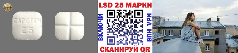 hydra зеркало Приморск Лсд 25 экстази кислота