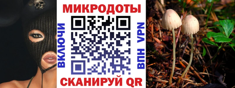 Галлюциногенные грибы Cubensis  Приморск 